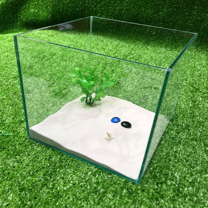 Bể cá mini Bể cá mini cubic