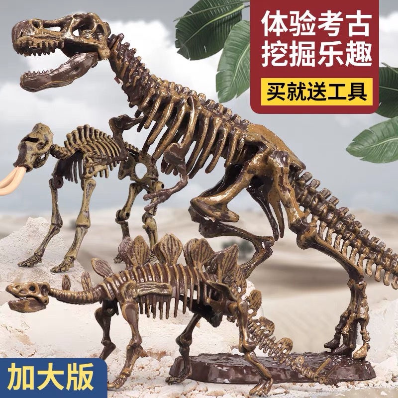 Hóa thạch khủng long trẻ em Mô hình bộ xương Tyrannosaurus rex Sản xuất thủ công DIY của Đồ chơi khai quật khảo cổ học c