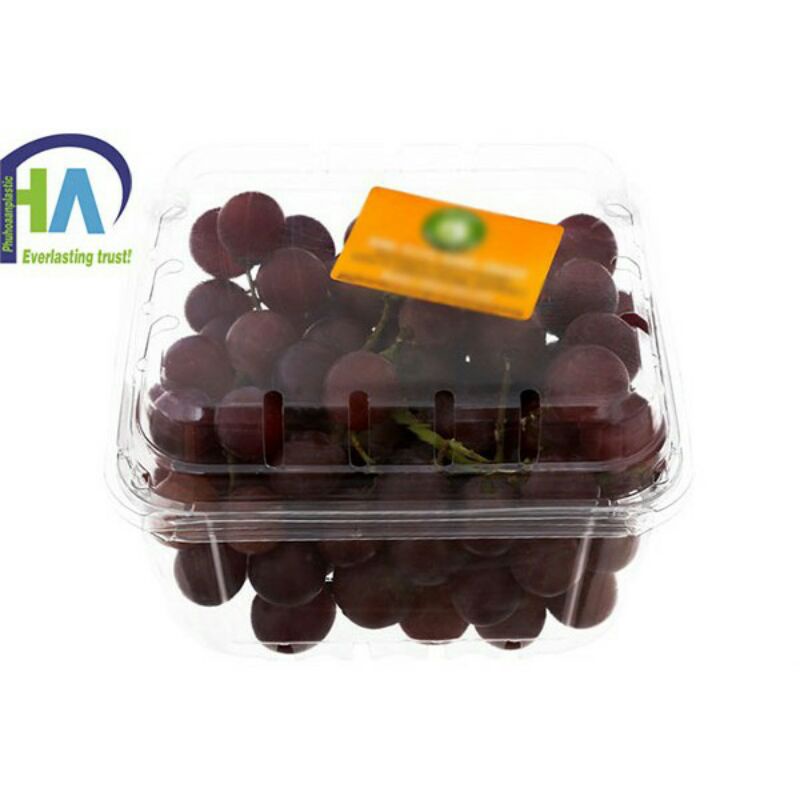 Hộp đựng trái cây loại nửa kg và 1 kg