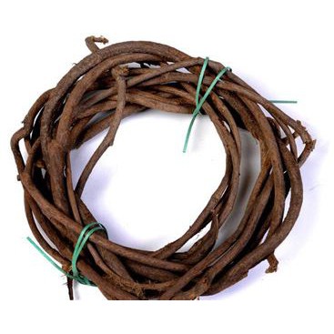 Cây giả- cây Phong lá đỏ tán rộng HO24-211