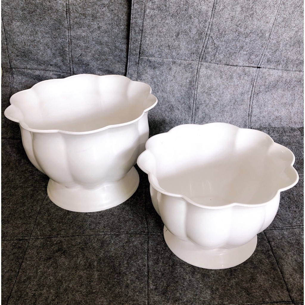 [ Chậu đẹp, giá rẻ] Combo 3 chậu cây cảnh trái bí 21cm