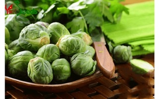 ☘ Hạt giống cải bắp mini F1 🌿