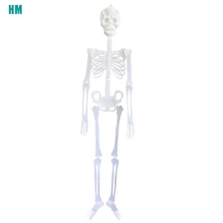 WOADA1 Bộ Xương Phát Quang 2D Trang Trí Halloween