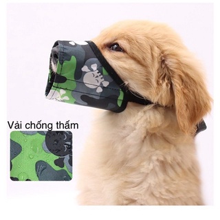 Dọ mõm vải