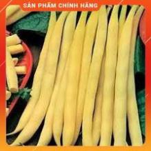 HẠT GIỐNG ĐẬU COVE BỤI VÀNG CAO SẢN 50G
