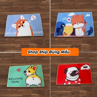 [ FREESHIP ] THẢM LAU CHÂN - THẢM CHÙI CHÂN 3D SIÊU THẤM