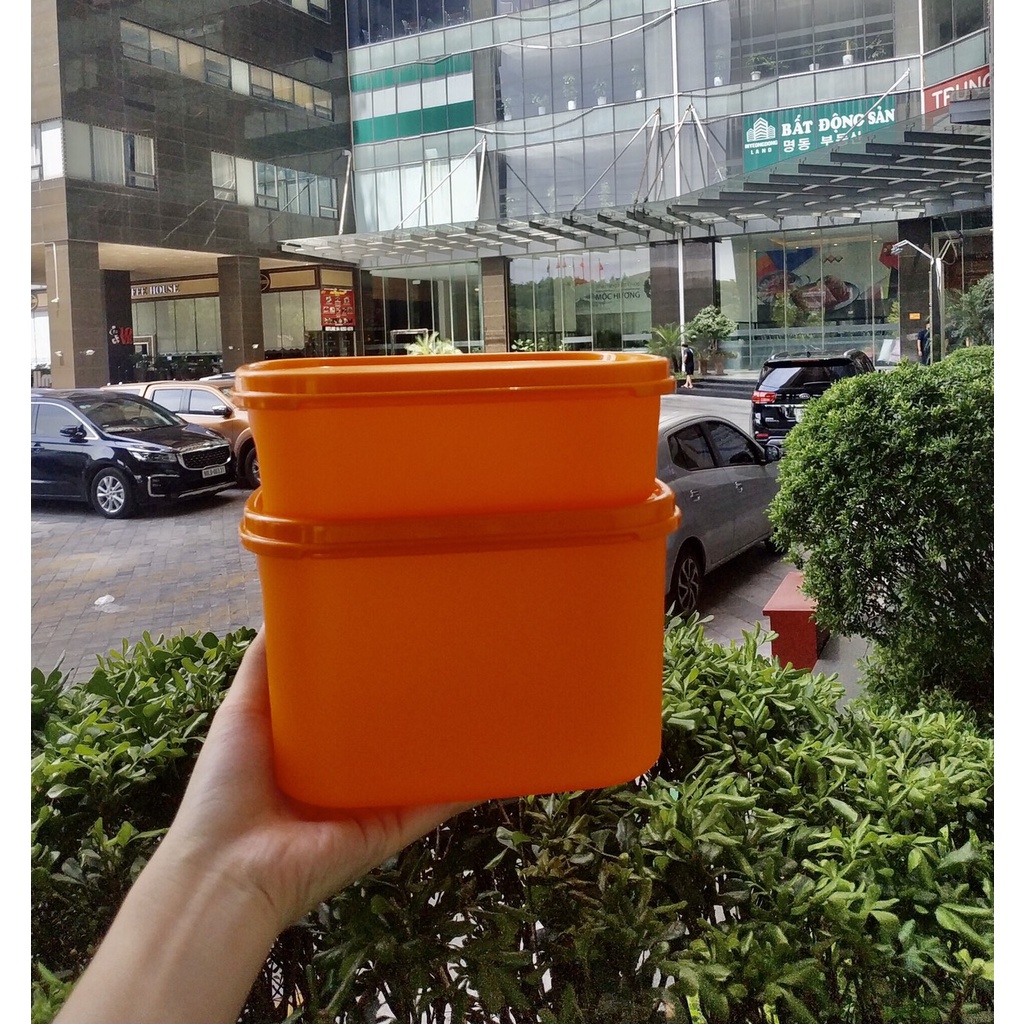 Bộ Hộp Colorful Rectangular 2 Hộp Tupperware