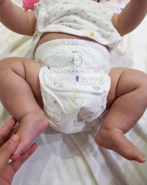 BỈM quần MOMO RABBIT S55/M44/L40/XL36/L30/XXL18 nội địa Hàn Momoarabbit ĐI AIR