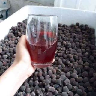 1kg sim rừng khô ngâm rượu