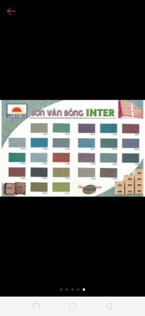 Sơn vân bông inter