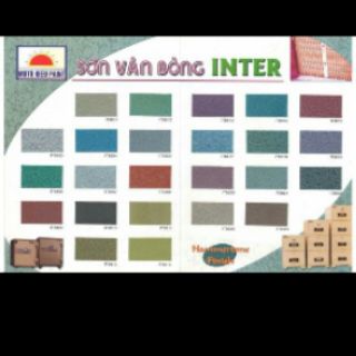 Sơn vân bông inter