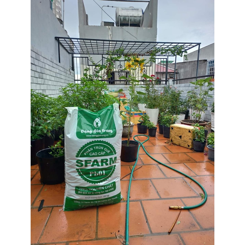 Phân trùn quế SFARM - 25KG - phân bón hữu cơ trồng cây, trồng rau, cây cảnh nội thất, cây hoa kiểng, phong lan