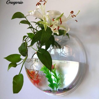 Chậu Cây Cảnh Treo Tường
