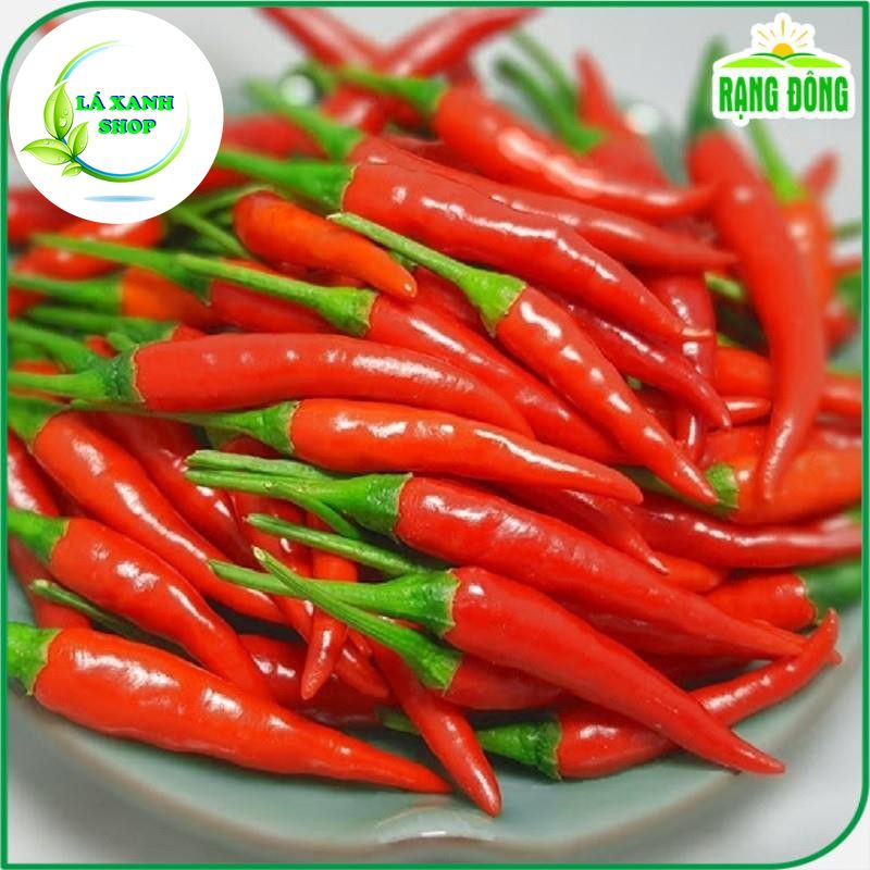 Hạt Giống Ớt Hiểm Sai Trái, Siêu Cay, Trồng Quanh Năm (gói 0,2 gram) - Hạt giống Rạng Đông