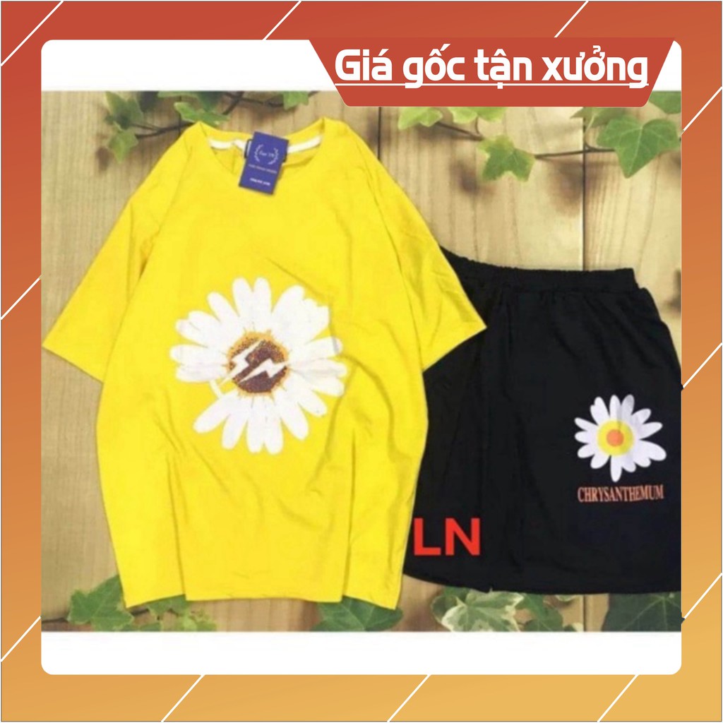 Sét áo hoa cúc 5D+ quần đùi chrisan LN12