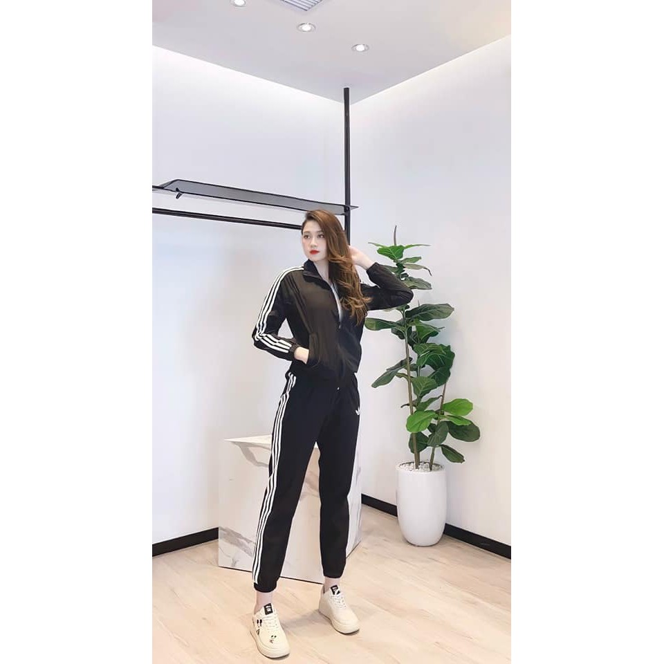 Set bộ thể thao adidas nữ dài tay quần bo ống chất umi hàn co giãn siêu đẹp - bộ thu đông nữ - Hàng mới về