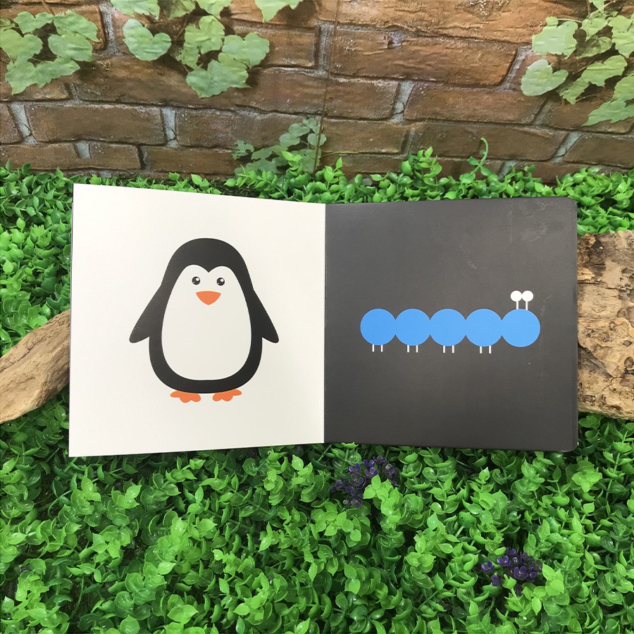 Sách - Kích Thích Thị Giác Cho Trẻ Sơ Sinh 0 - 3 Tuổi (Sách Zigzag - Bộ 5 quyển, lẻ tùy chọn)