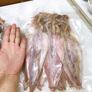 0.5kg mực câu vân đồn size 20-25 con