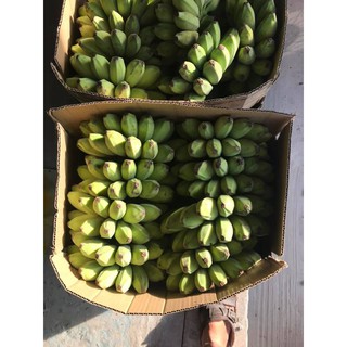 CHUỐI SÁP NGHỆ MIỀN TÂY