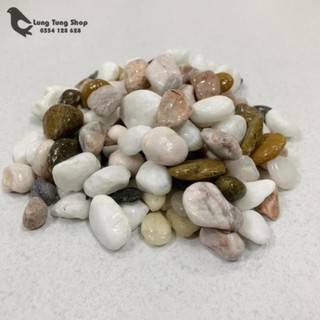 Đá sỏi hỗn hợp ( chọn size )