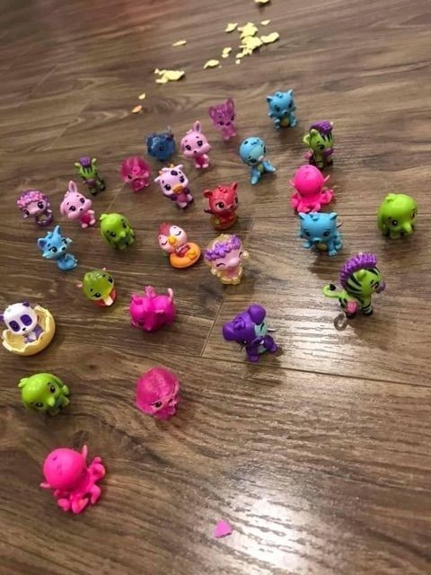 Combo Hatchimal trứng và hình