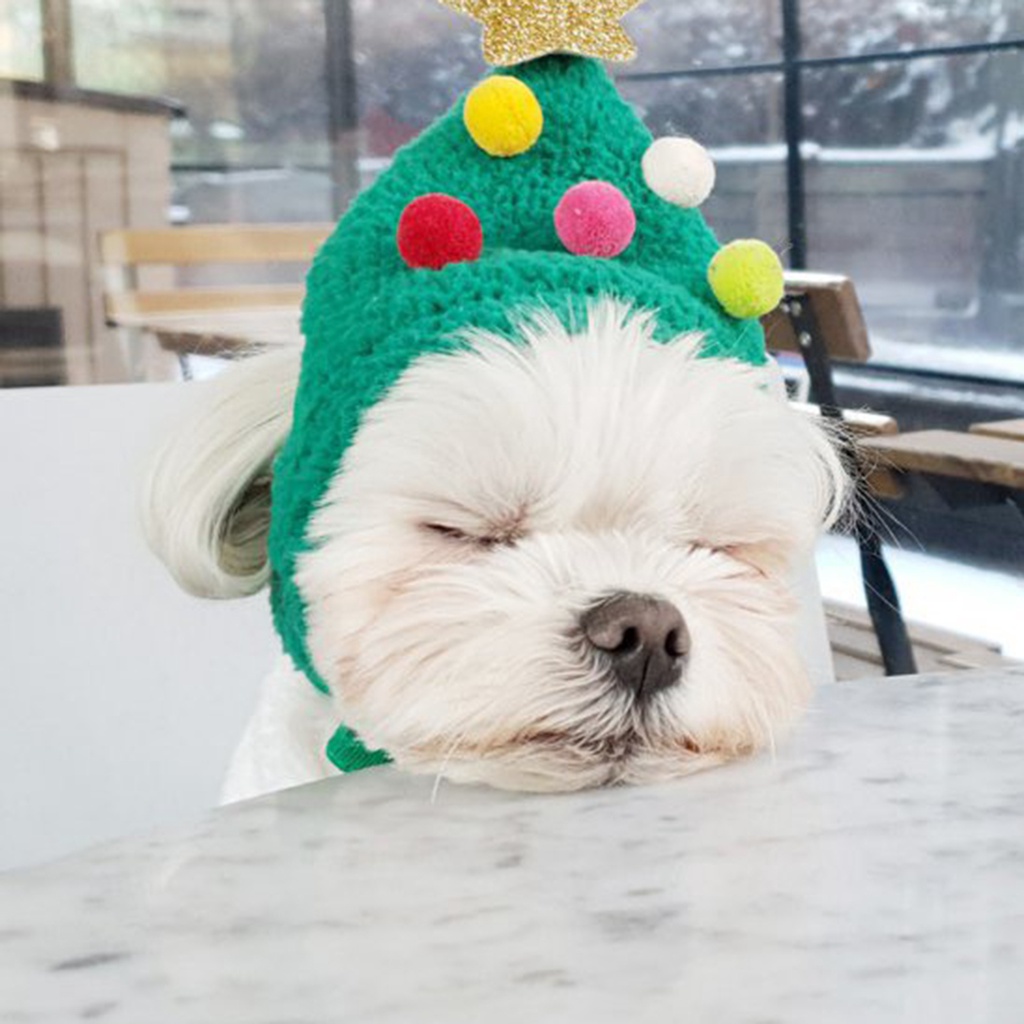11 Mũ beanie đính cây thông noel cho thú cưng