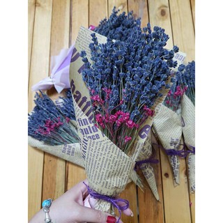 Hoa Lavender