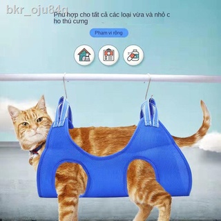 GuibeiVõng chải lông cho thú cưng Cún mèo nhỏ và vừa chó Chăm sóc lông cắt móng Tắm rửa tai sạch sẽ Chải lông quần áo