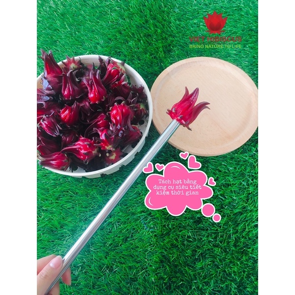 Hoa atiso đỏ tươi [LOẠI ĐÃ TÁCH HẠT LOẠI 1kg] - Hibiscus - Bụp giấm | BigBuy360 - bigbuy360.vn