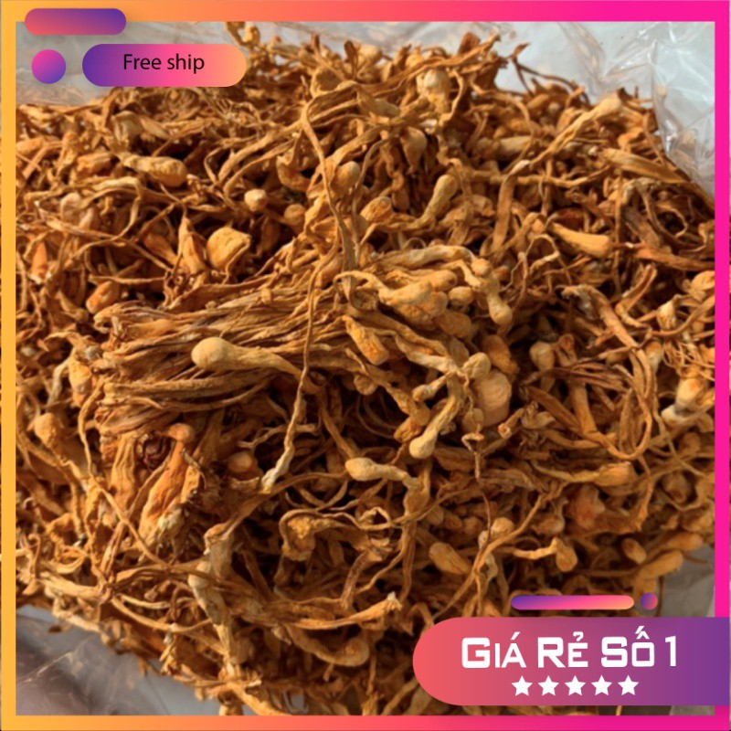 Đông Trùng Hạ Thảo 100g