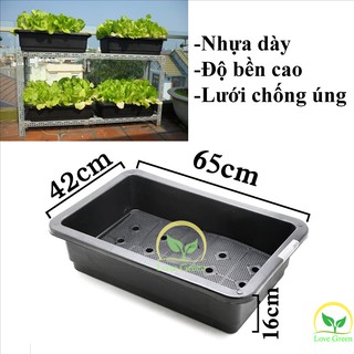 Khay Nhựa Trồng Rau Chữ Nhật TM-65, Chậu Trồng Cây Thông Minh