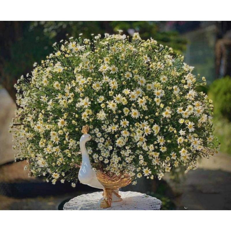 ✅ KHAY CÔNG ĐA NĂNG ĐỰNG TRÁI CÂY, CẮM HOA TƯƠI