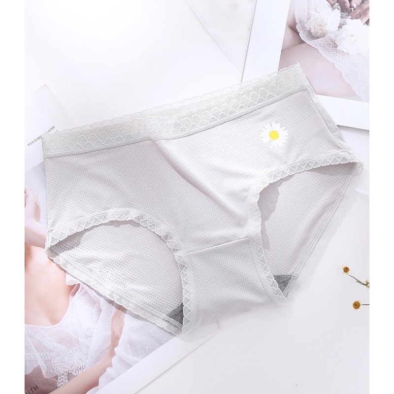Quần lót hoa cúc viền ren | BigBuy360 - bigbuy360.vn