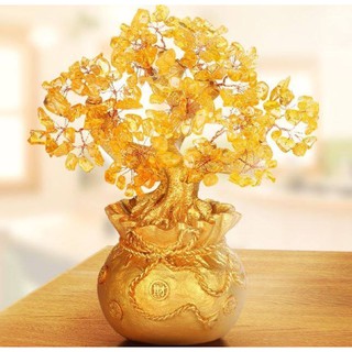 Cây Tài Lộc vàng