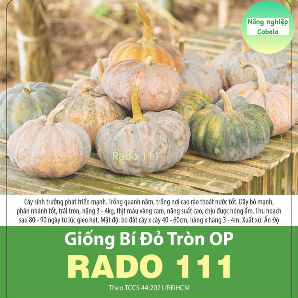 Hạt Giống Bí Đỏ Tròn Op (RADO111) 5gr