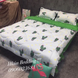 Combo Chăn phao Ga Gối nhập