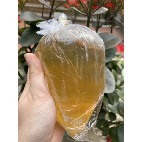 1kg mạch nha vàng nguyên chất nhà làm từ bông lúa mạch dùng làm kẹo lạc, kẹo kéo