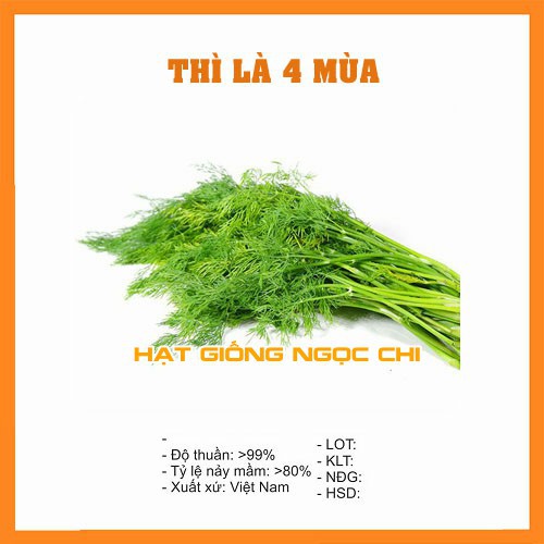 Hạt Giống Rau Thì Là Bốn Mùa - 20Gr