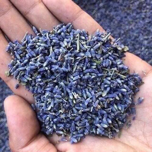 Túi thơm hoa oải hương lavender