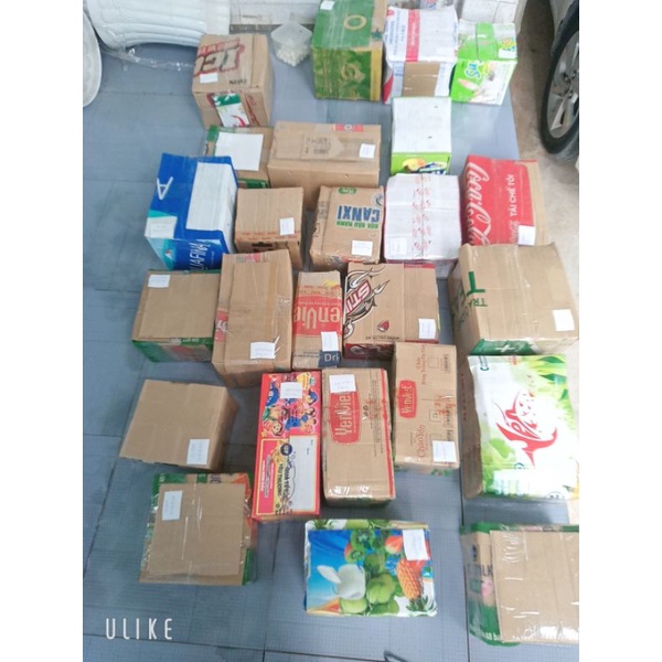 3 Gốc măng tây trên 3 năm tuổi