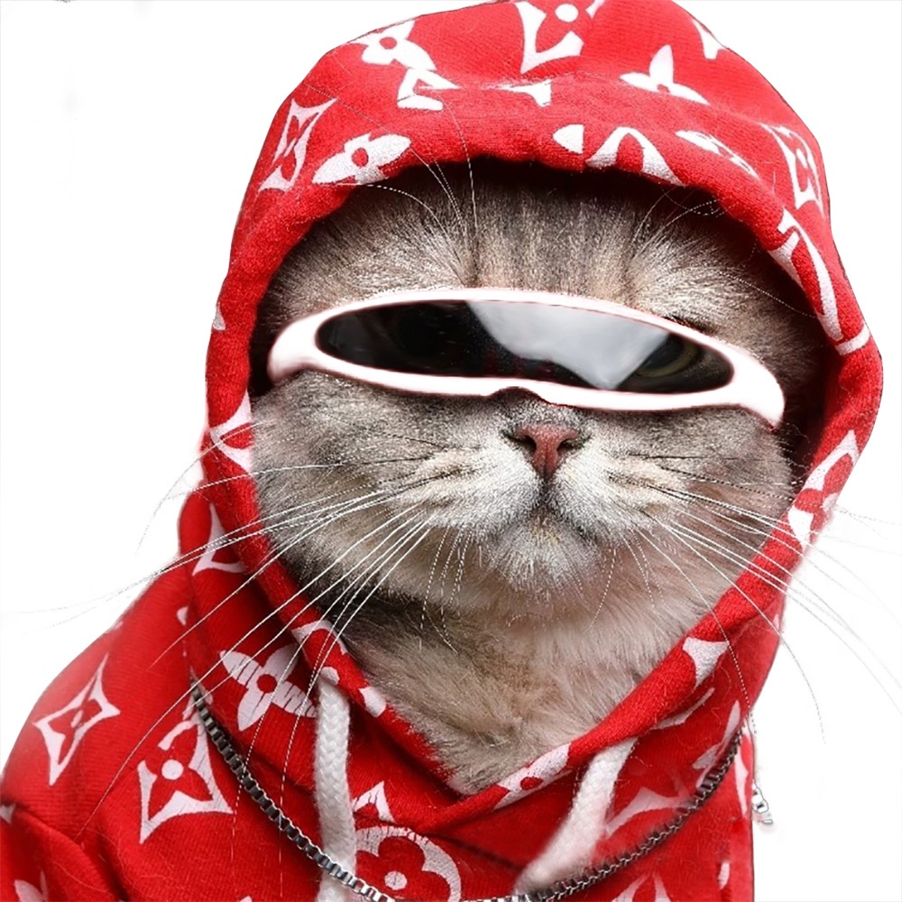 Kính mát cho mèo dễ thương cho trang phục Cosplay thời trang Ins Kitten Kính râm cho mèo Kính mắt cho chó con Phụ kiện thú cưng mát mẻ