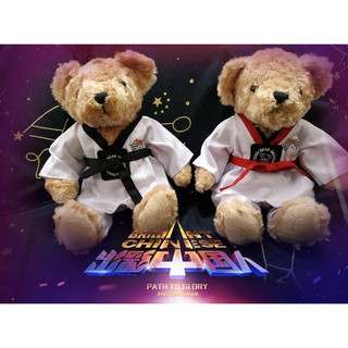 Gấu Teddy Taekwondo siêu cute