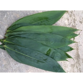 100g lá tre tươi (nhỏ nên ko gói bánh được)