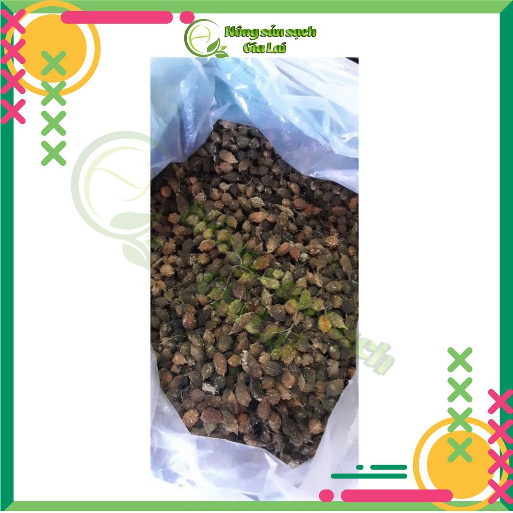 Khổ qua rừng mướp đắng rừng loại nguyên quả và thái lát sấy khô 1kg | BigBuy360 - bigbuy360.vn