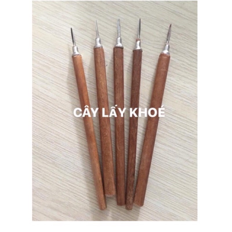 Cây Lấy Khoé Gỗ