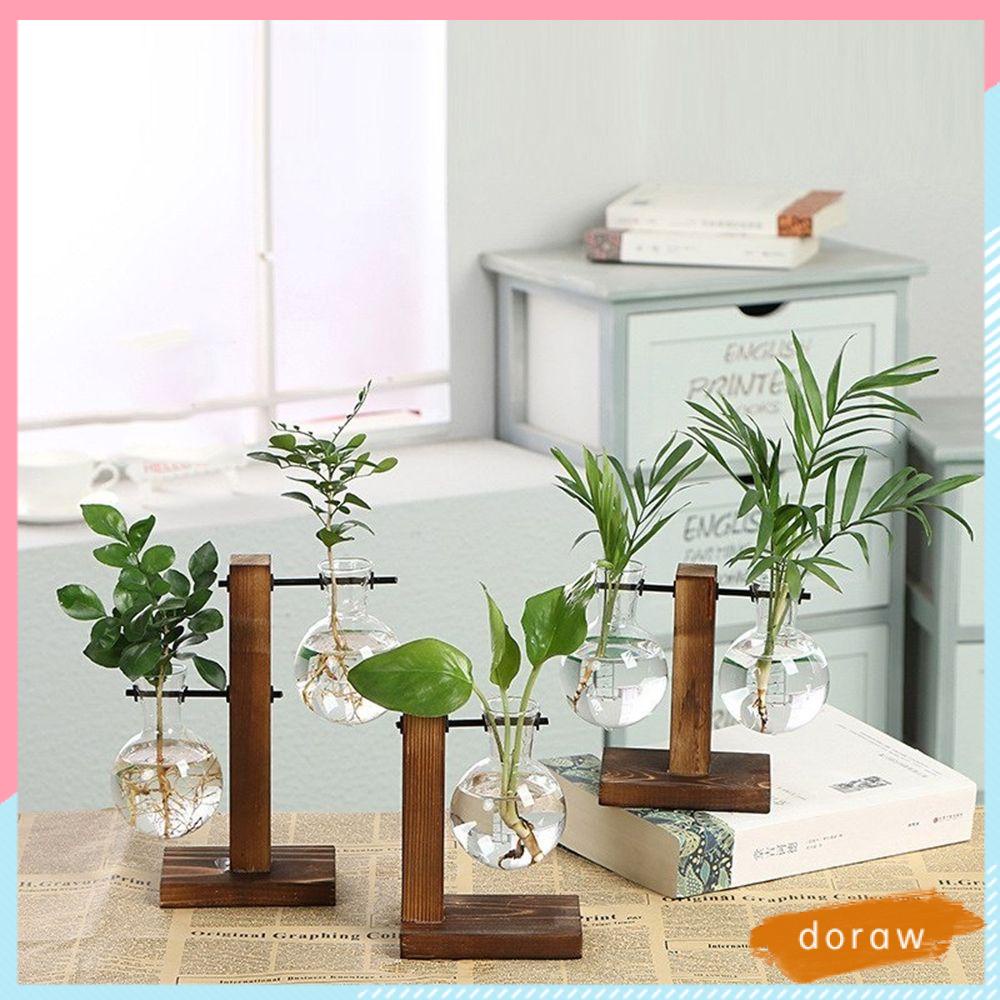 Chậu kính trồng cây thủy canh kèm khung gỗ phong cách cổ điển độc đáo trang trí nhà cửa