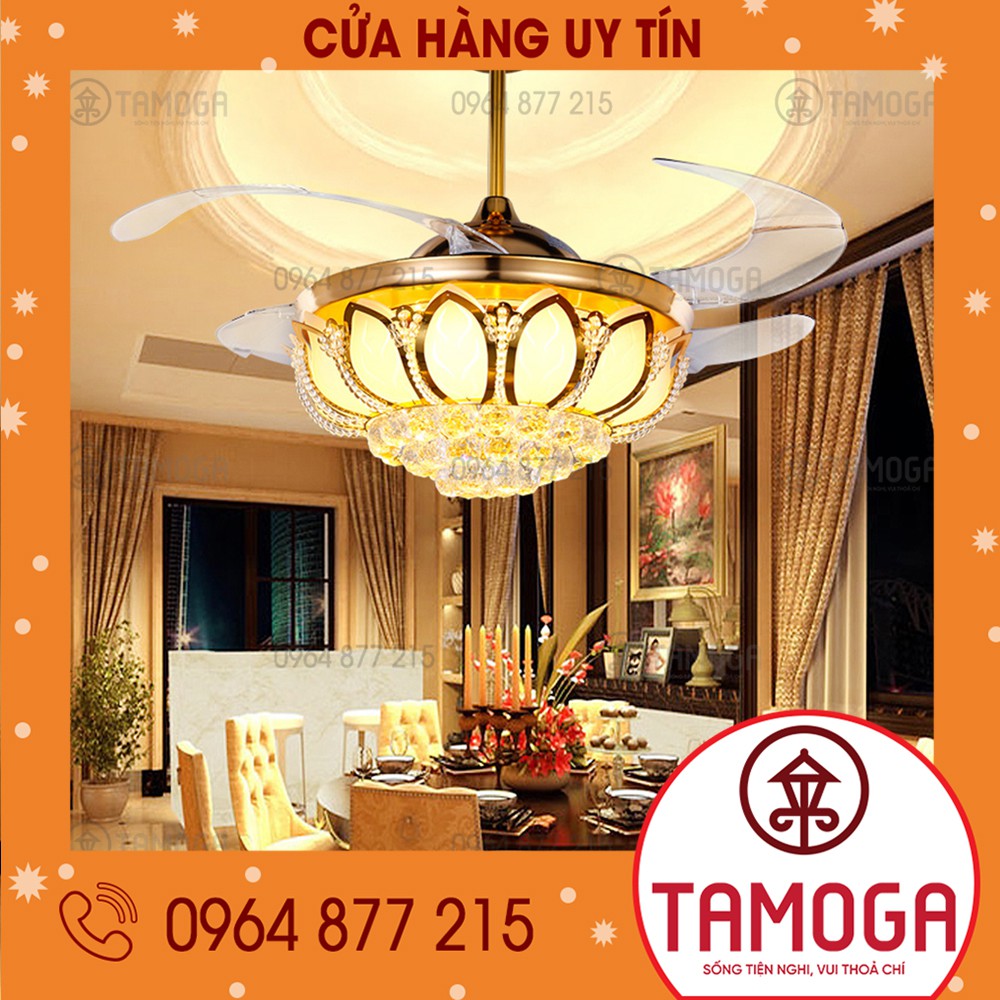 QUẠT TRẦN CÓ ĐÈN ĐIỆN QUANG DQ 8015