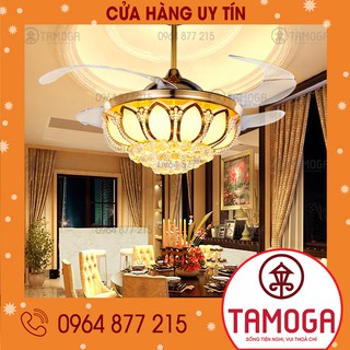 QUẠT TRẦN CÓ ĐÈN ĐIỆN QUANG DQ 8015