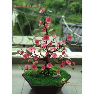 SET LÀM HOA MAI/ĐÀO BẰNG GIẤY 🌸🌸🌸