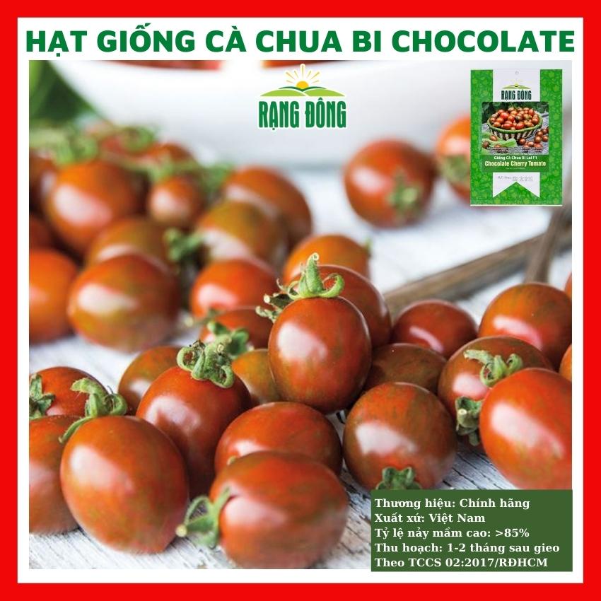 Hạt giống cà chua bi chocolate - rau củ quả trồng chậu, sân vườn ban công ngon giòn ngọt nảy mầm cao 3 hạt RADOCC